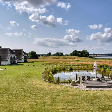 Turmfalke 35 Im Wreecher Idyll Ruegen By Ruyastay *